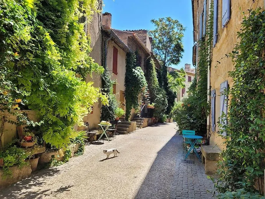Les Voutes Du Vieux Village Lauris France